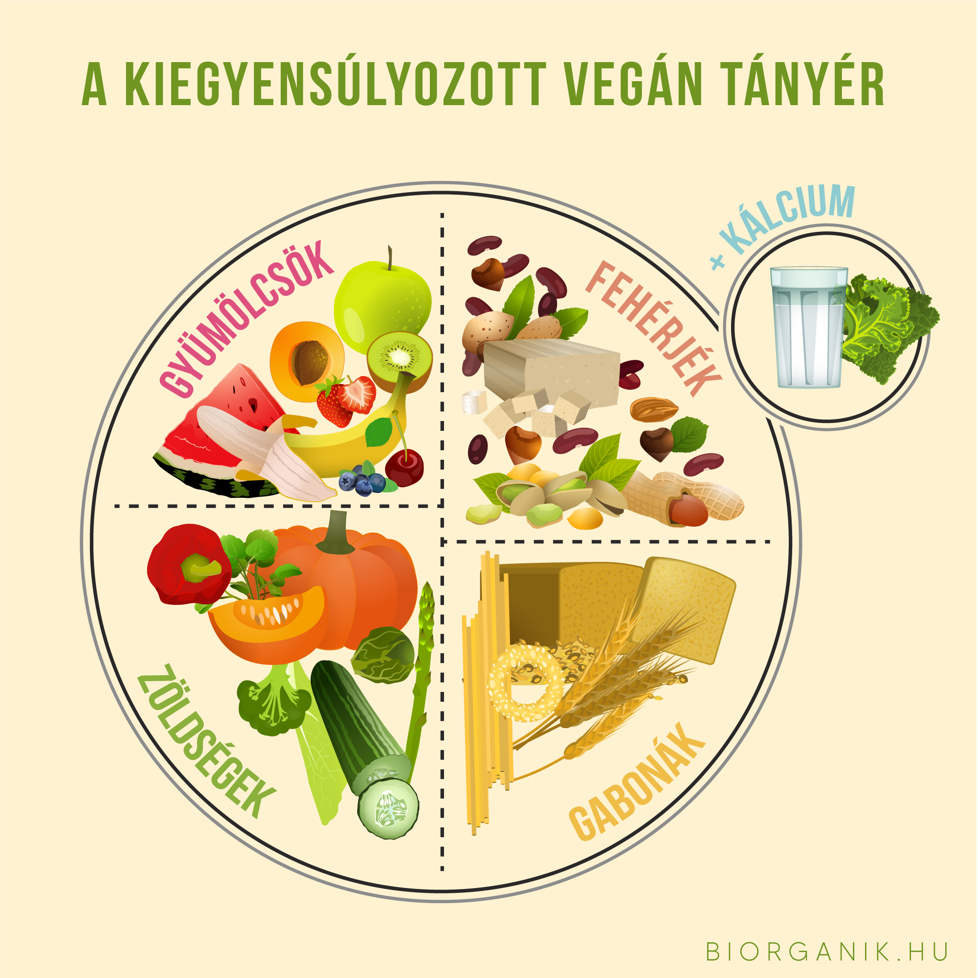 A KIEGYENSÚLYOZOTT VEGÁN TÁNYÉR