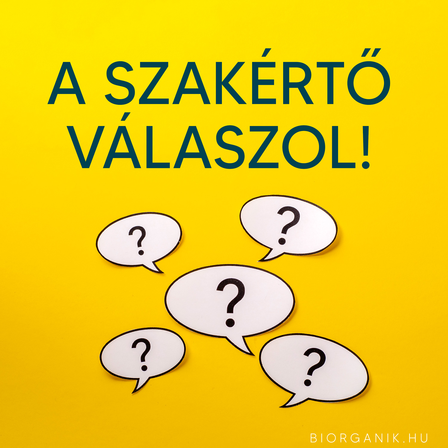 A Szakértő Válaszol - FEBRUÁR