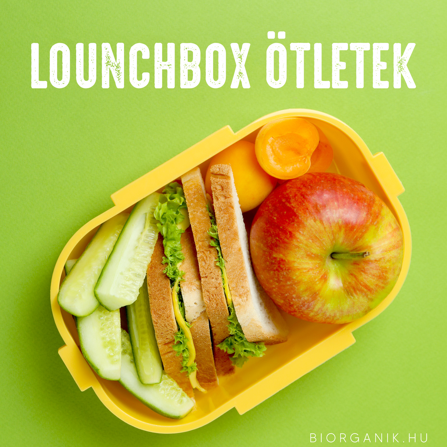 Lunchbox ötletek iskolakezdéshez