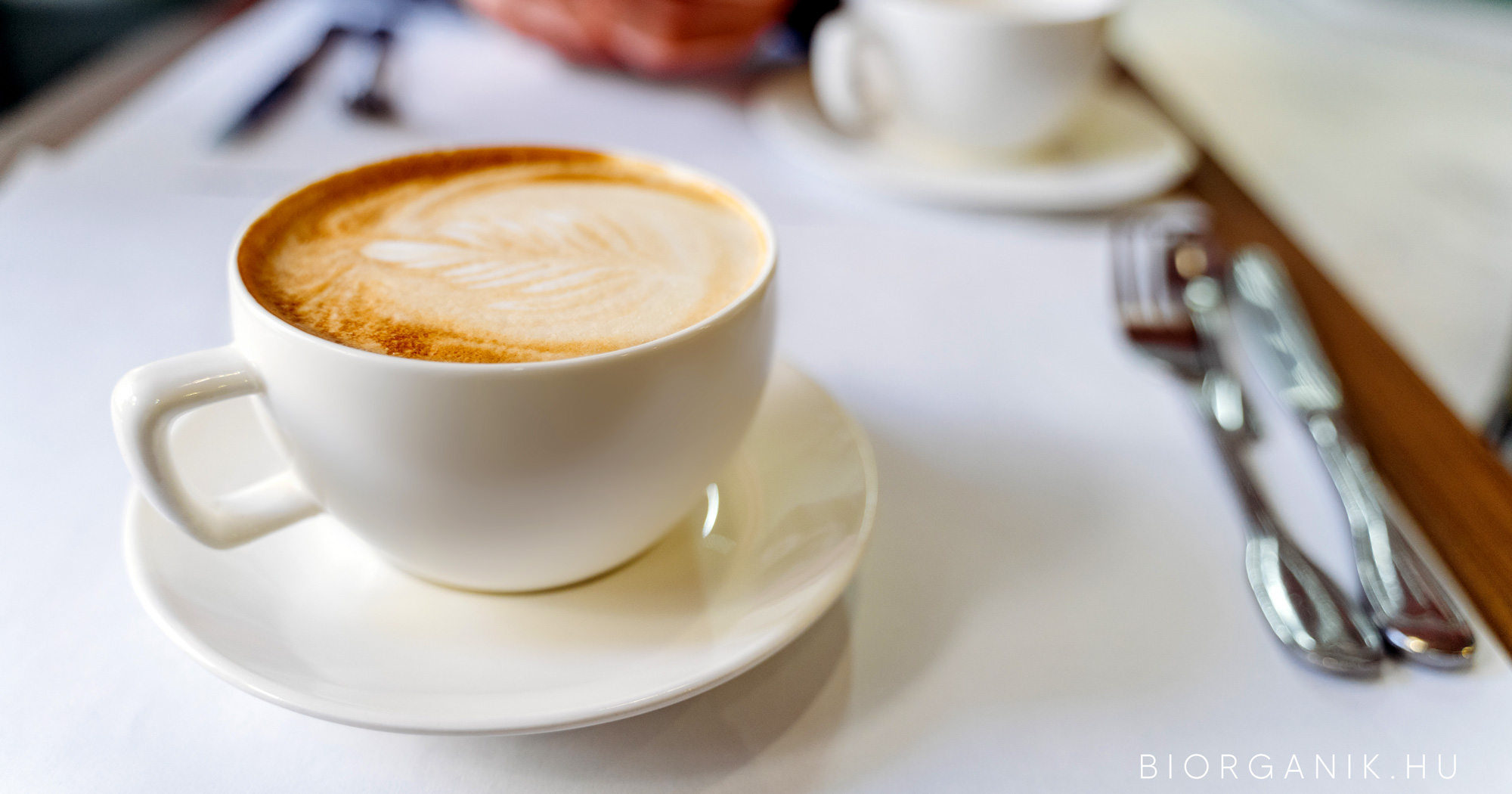 Kerüld a tea- (pl. fekete tea) és a kávéfogyasztást közvetlenül étkezések előtt és után!