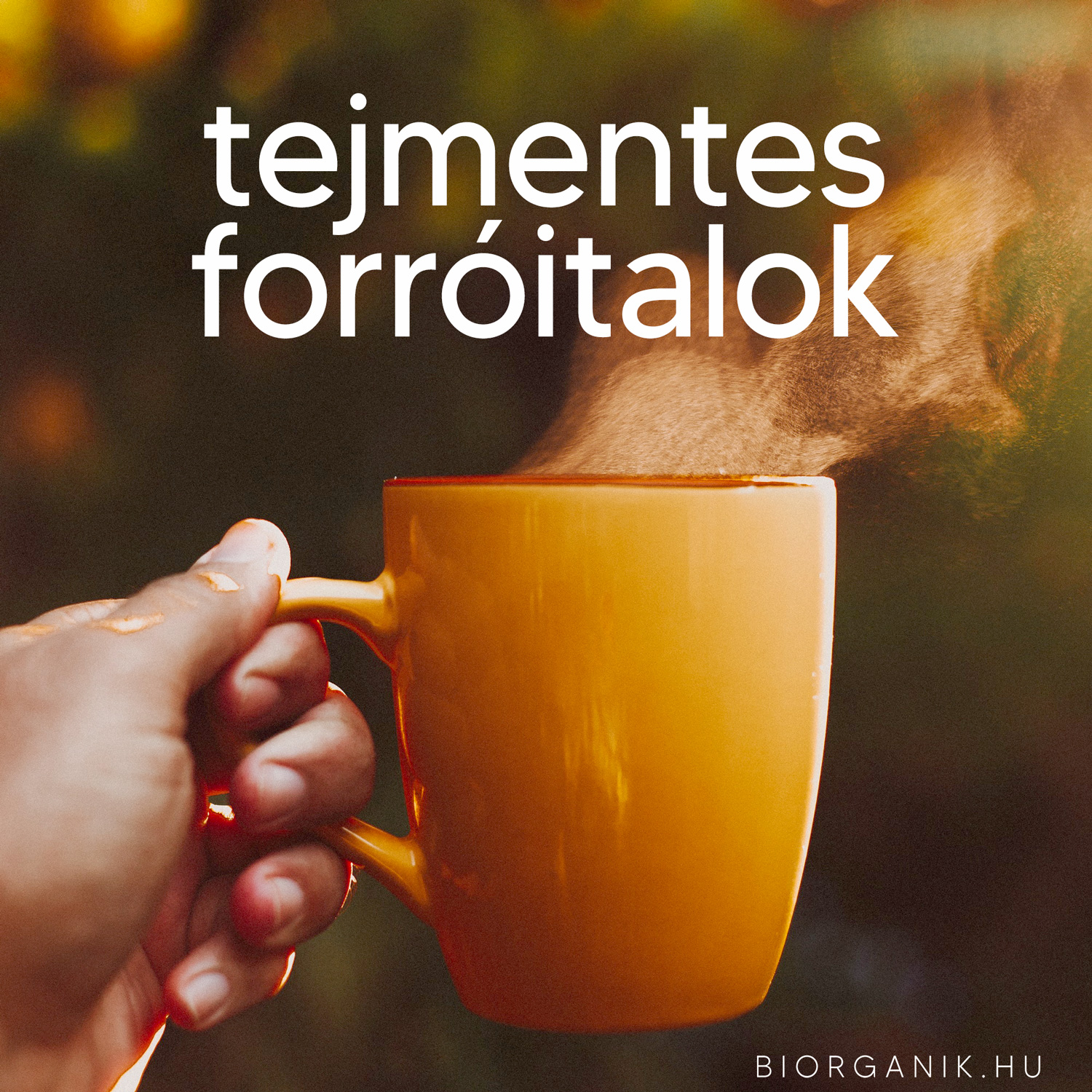 TEJMENTES FORRÓITALOK