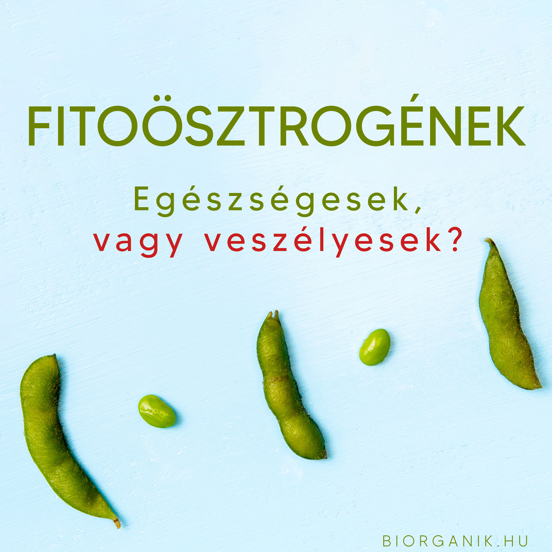 FITOÖSZTROGÉNEK